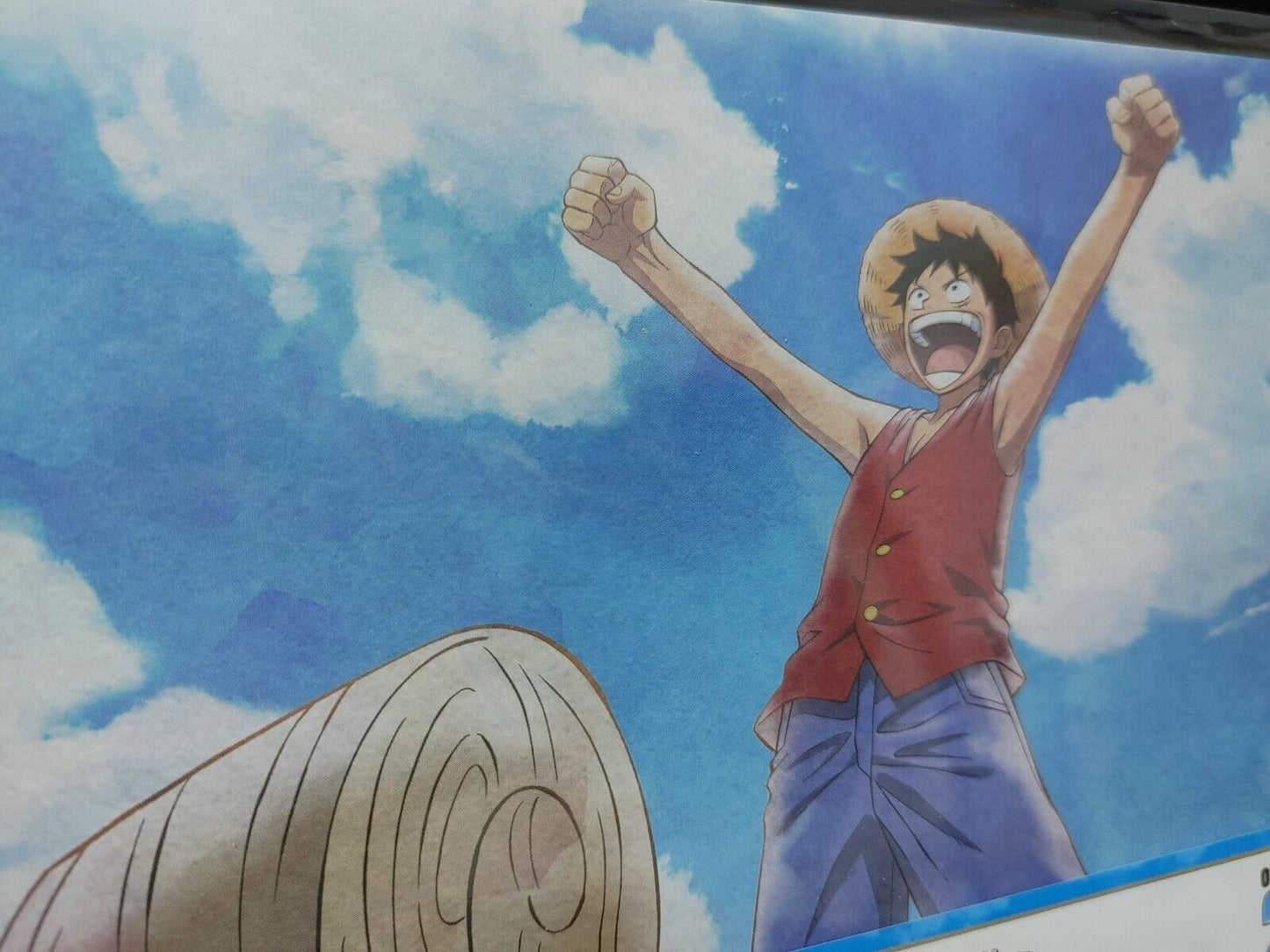 One Piece Animation Cel Print Style Scene Board 25th Luffy Japan Limited