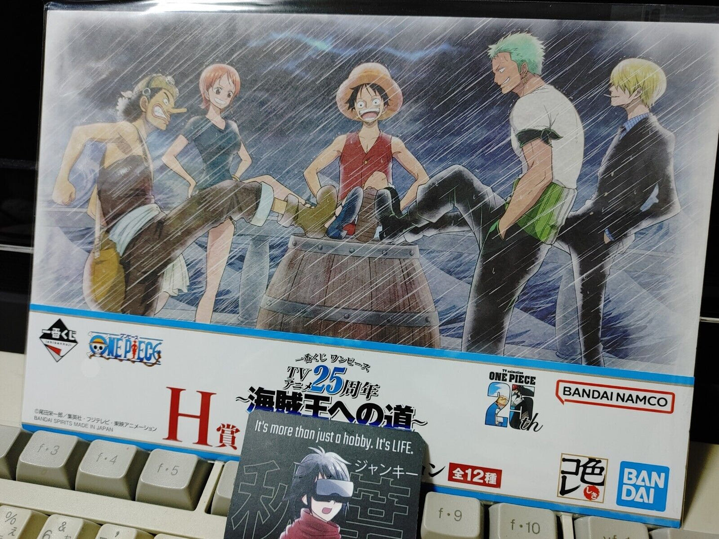 One Piece Animation Cel Print Style Scene Board Panel Decoration Crew A JAPAN
