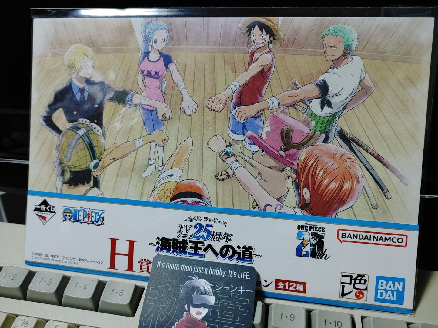 One Piece Animation Cel Print Style Scene Board Panel Decoration Crew B JAPAN