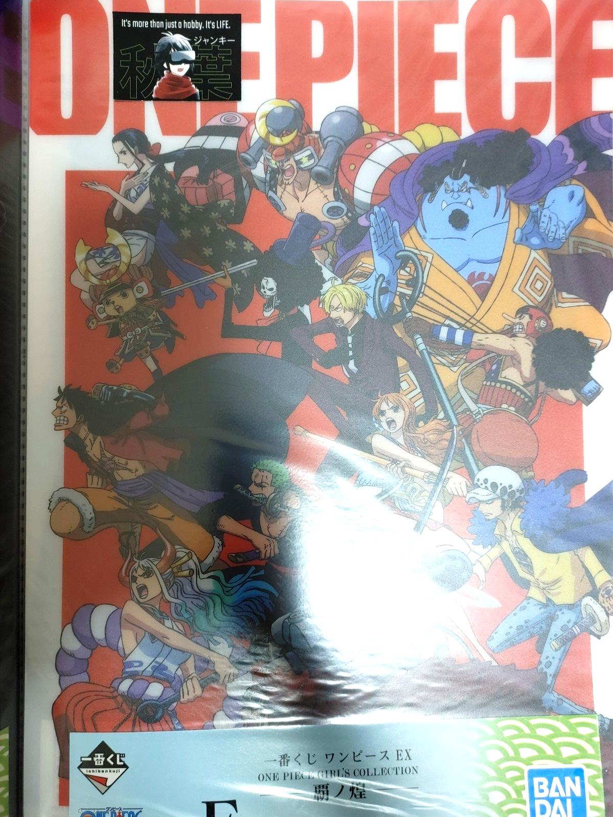 One Piece Anime Collectible Visual Poster Board Crew C JAPAN