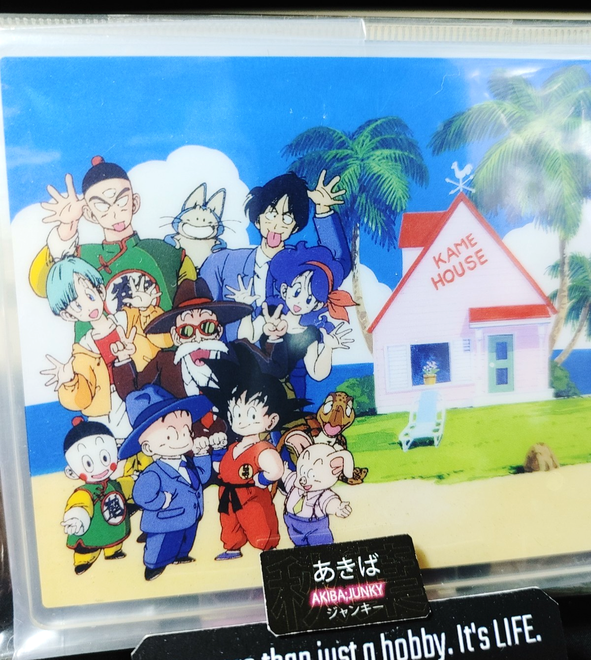 Dragon Ball Anime Acrylic Display Goku Kame House Roshi Oolong Bulma JAPAN