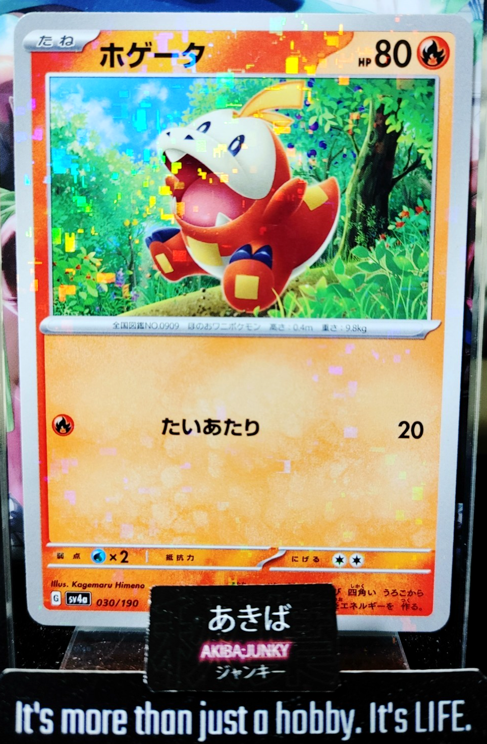 Pokemon Fuecoco SV4a 030/190 Holo Card Japanese JAPAN Release – AKIBA JUNKY ONLINE SHOP