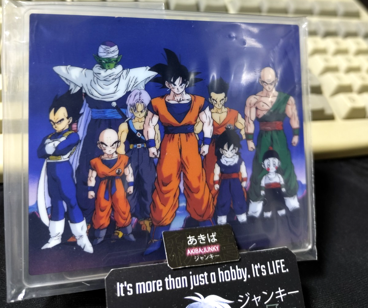 Dragon Ball Anime Acrylic Display Goku Vegeta Tien Piccolo Trunks G JAPAN