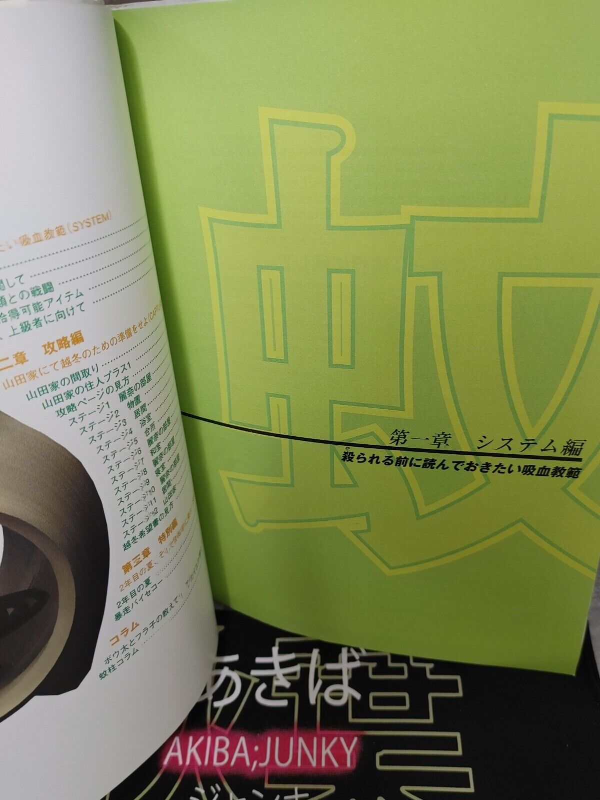 KA Mosquito Japanese Official Guide Sony PlayStation 2 Book 2001 Japan Import