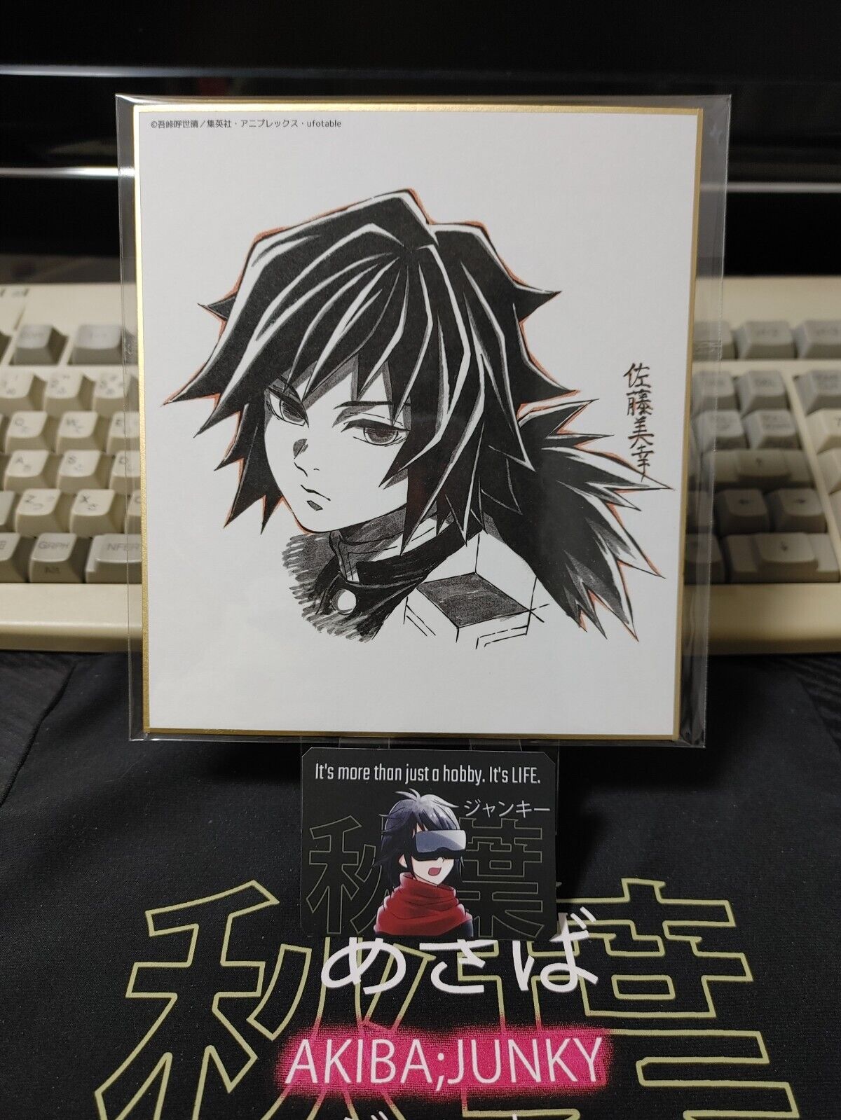Anime Demon Slayer Giyu Art Panel Japan Limited Release SS