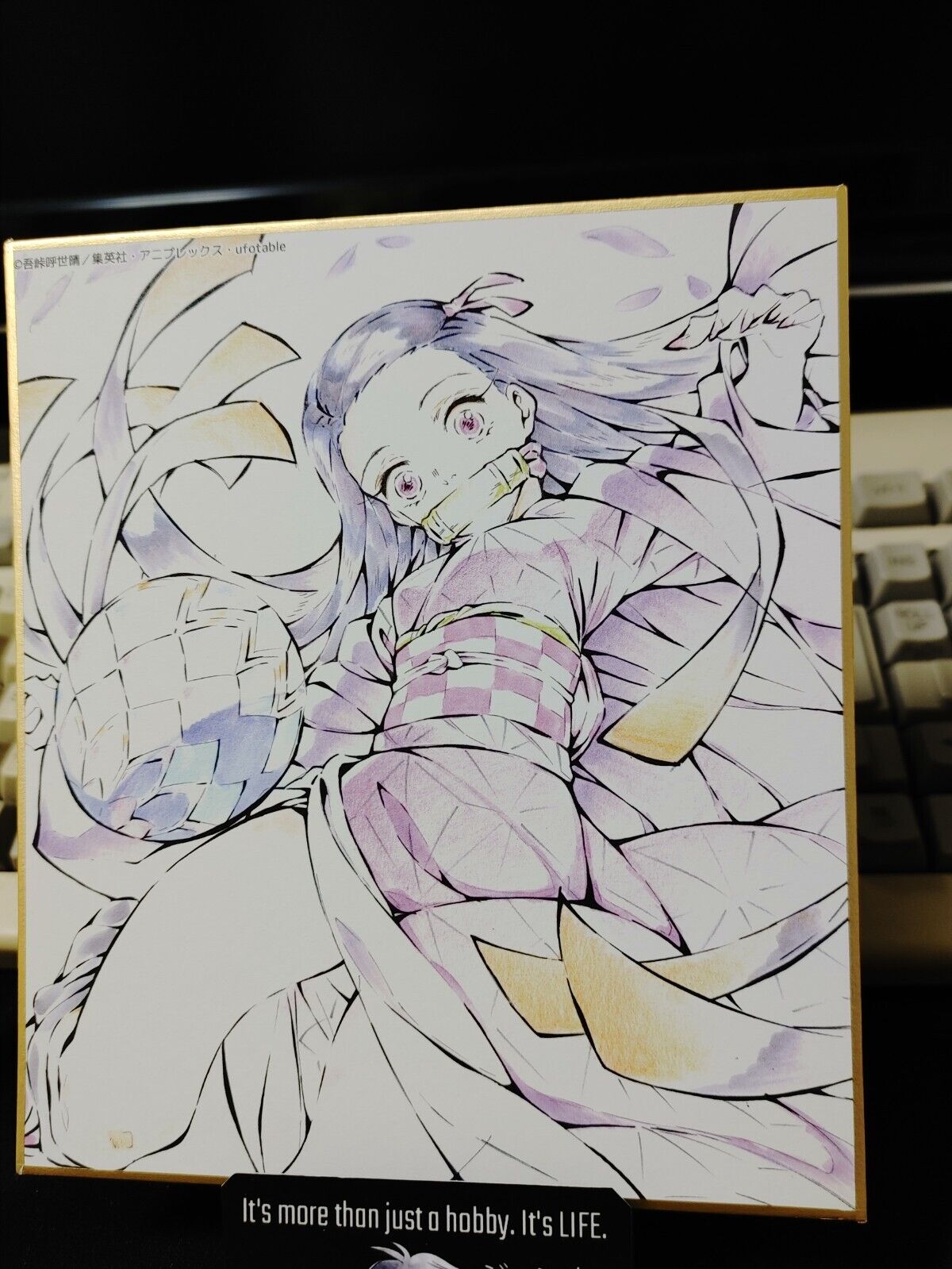Anime Demon Slayer Nezuko Art Panel Japan Limited Release E