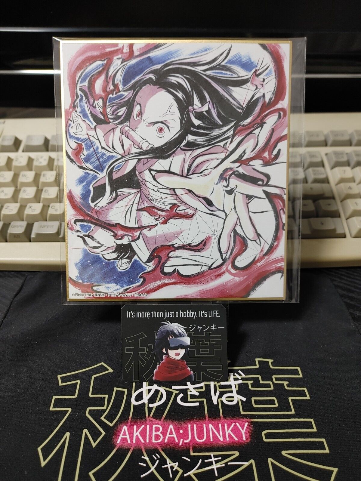 Anime Demon Slayer Nezuko Art Panel Japan Limited Release D