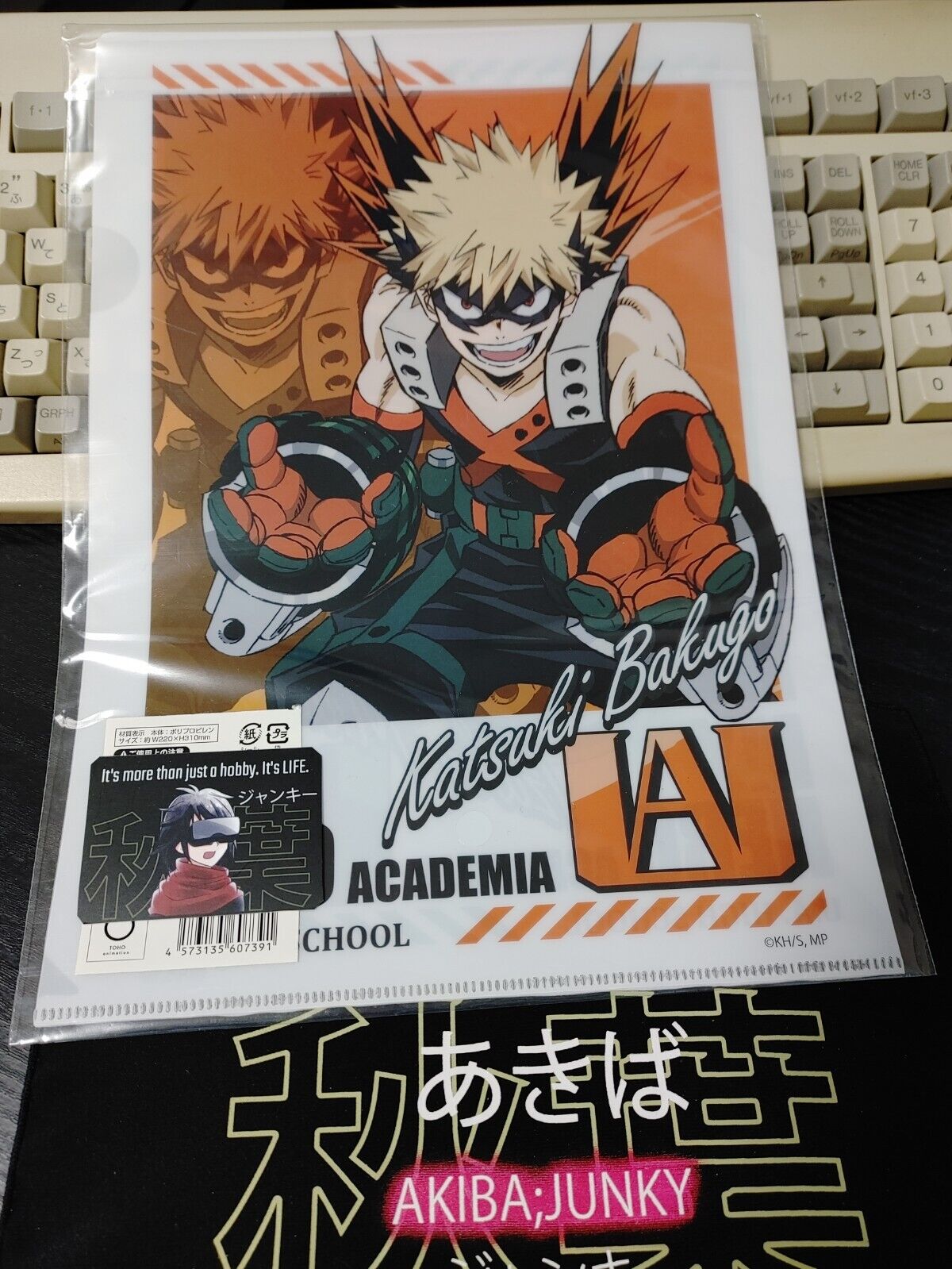 My Hero Academia Bakugo Midoriya Collectible Design Clear File Design JAPAN