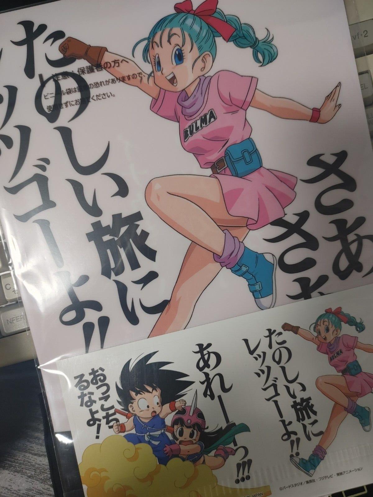 Anime Dragon ball Animation Design Files Goku Chi Chi Bulma Japan Limited