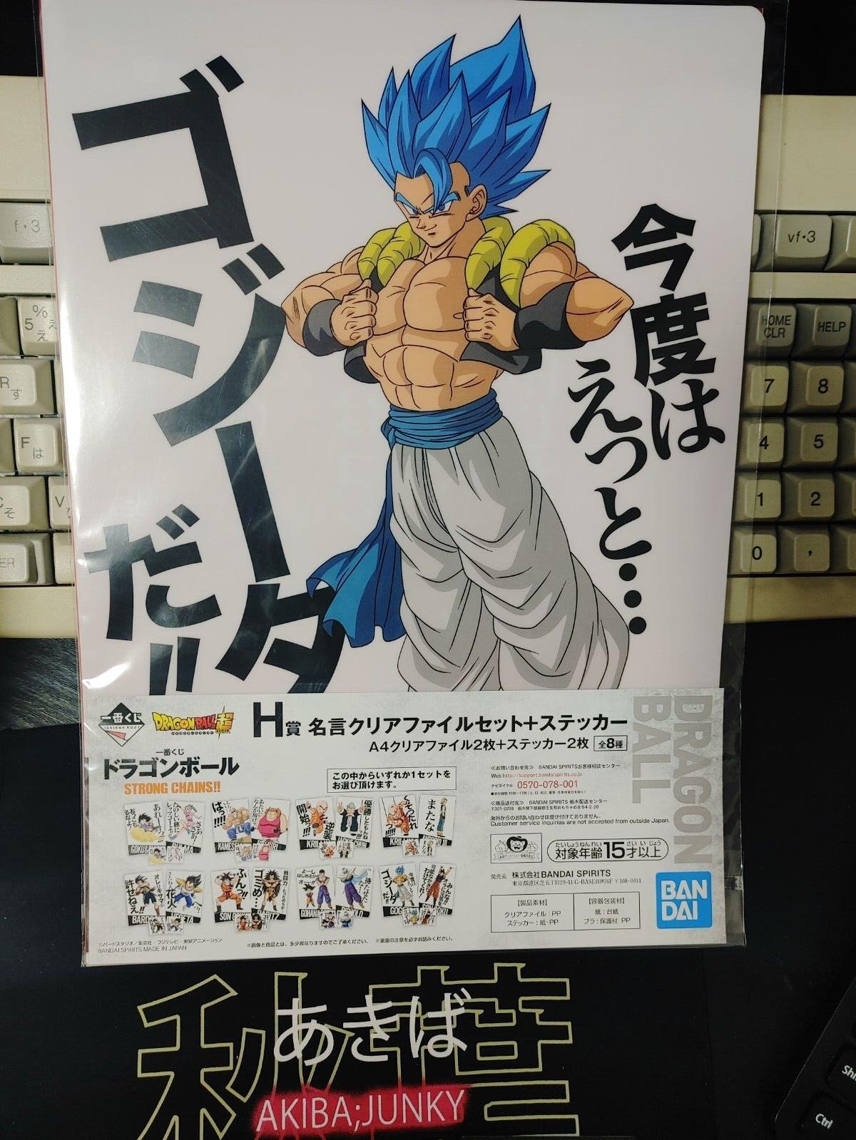 Anime Dragon ball Animation Design Files Goku Gogeta Japan Limited