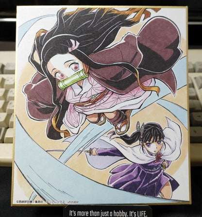 Anime Demon Slayer Nezuko Shikishi Art Panel Japan Limited Release C