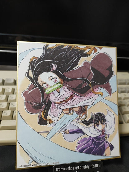 Anime Demon Slayer Nezuko Shikishi Art Panel Japan Limited Release C