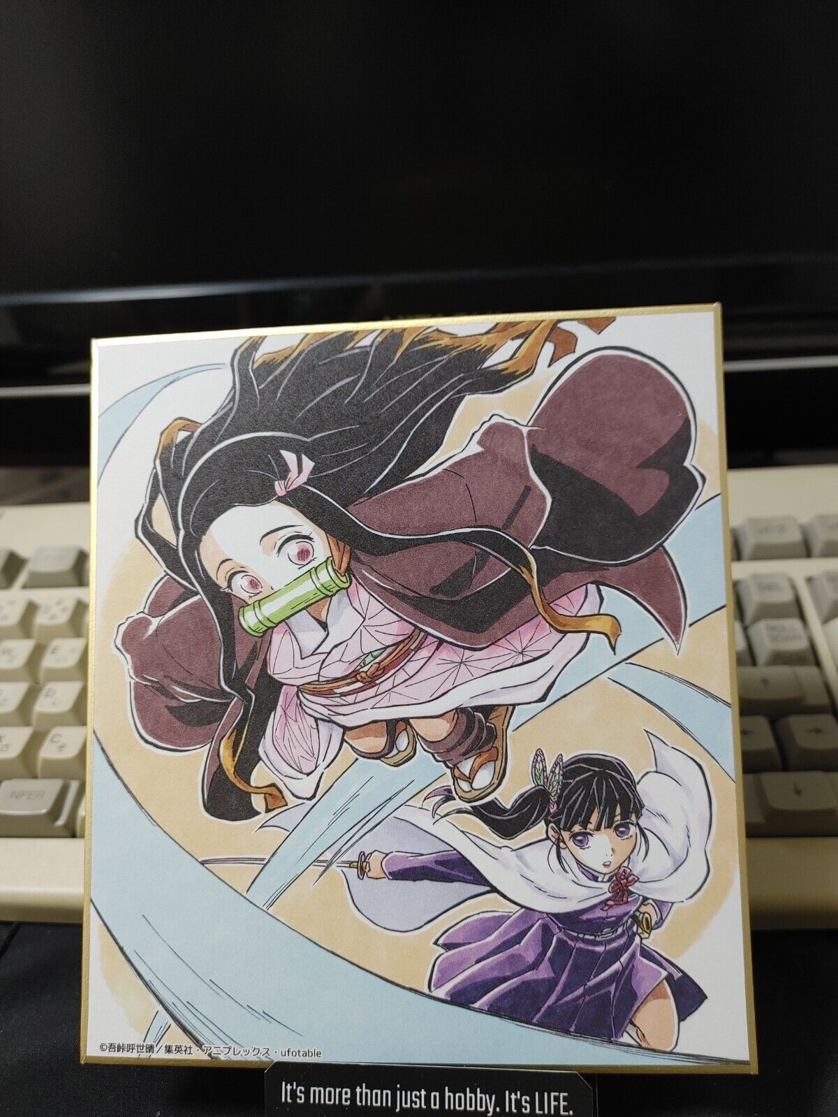 Anime Demon Slayer Nezuko Shikishi Art Panel Japan Limited Release C