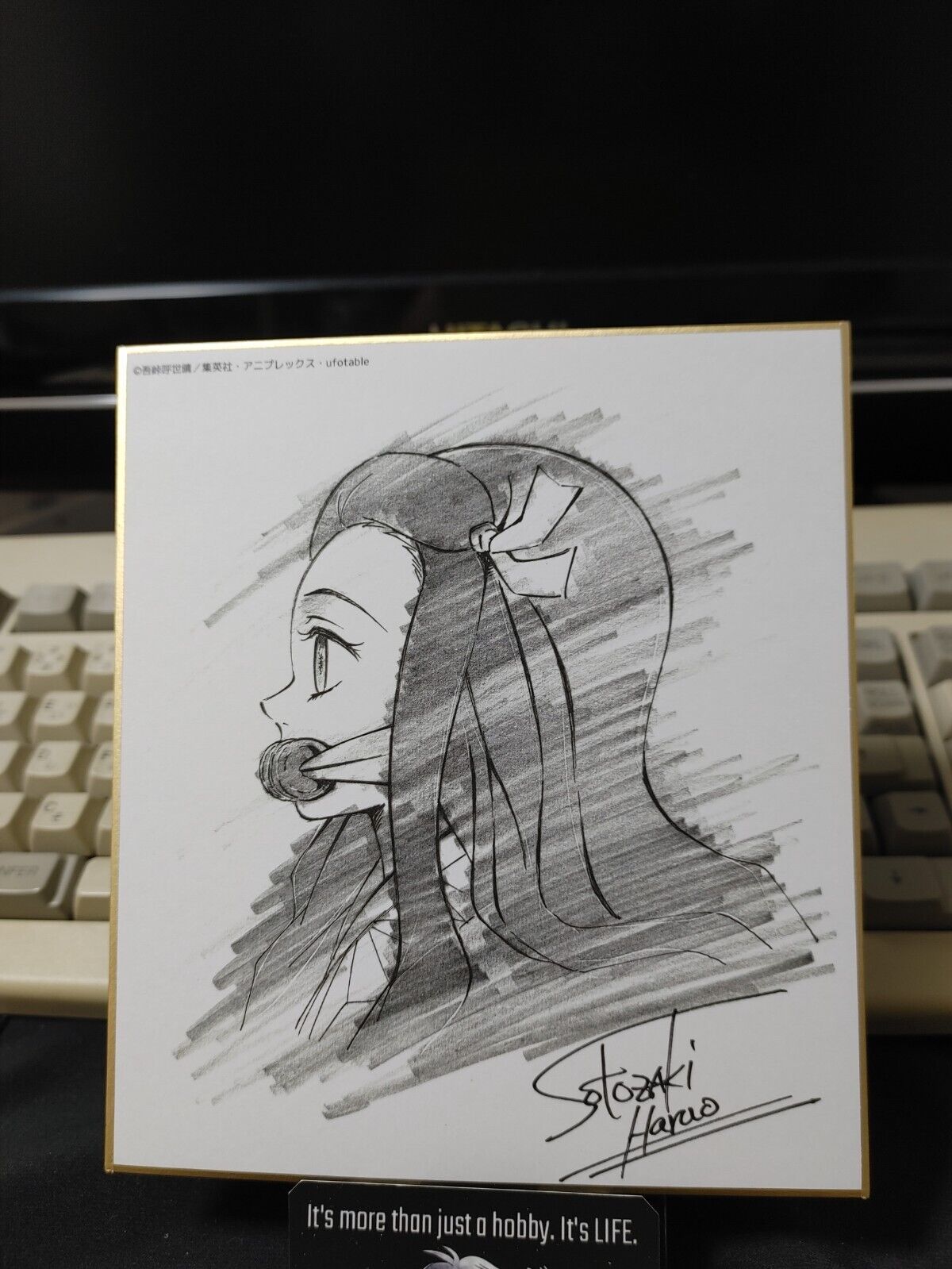 Anime Demon Slayer Nezuko Shikishi Art Panel Japan Limited Release SS