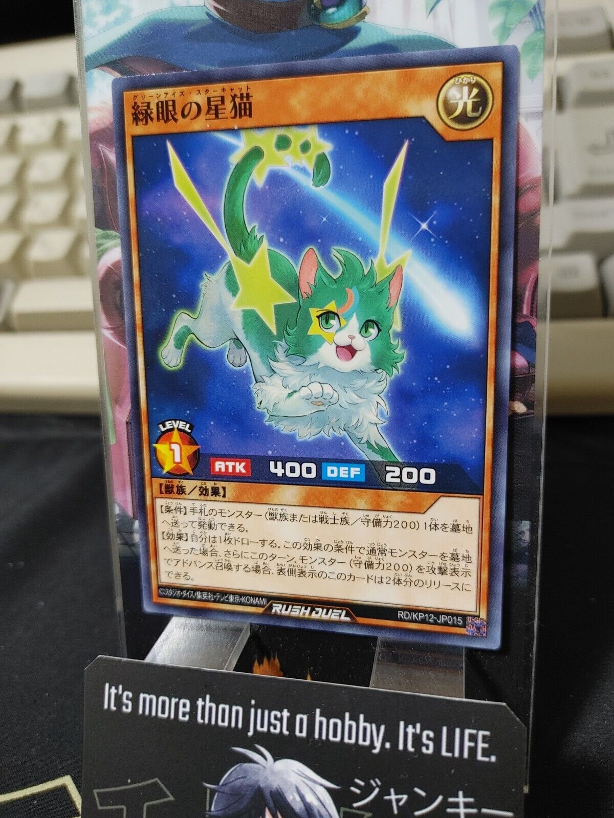 Green-Eyes Star Cat RD/KP12-JP015 Yu-Gi-Oh Rush Duel Yugioh JAPAN