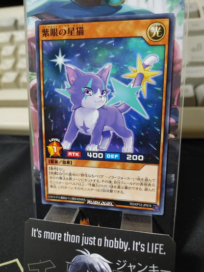 Purple-Eyes Star Cat RD/KP12-JP014  Yu-Gi-Oh Rush Duel Yugioh JAPAN