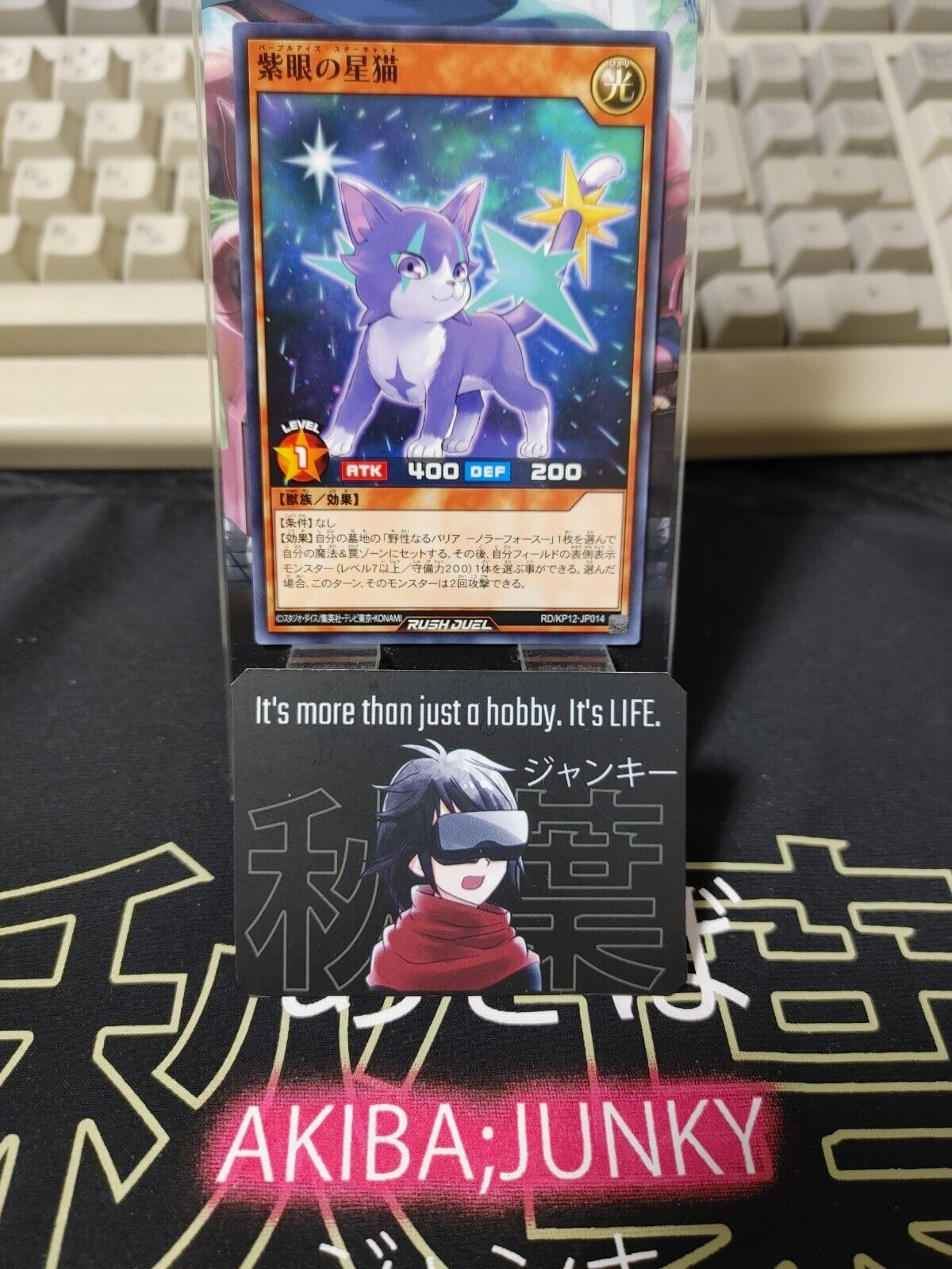 Purple-Eyes Star Cat RD/KP12-JP014  Yu-Gi-Oh Rush Duel Yugioh JAPAN