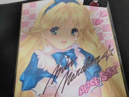 Alice Eroge pc game Mascot Goods Limited Shikishi Panel Alicesoft Japan