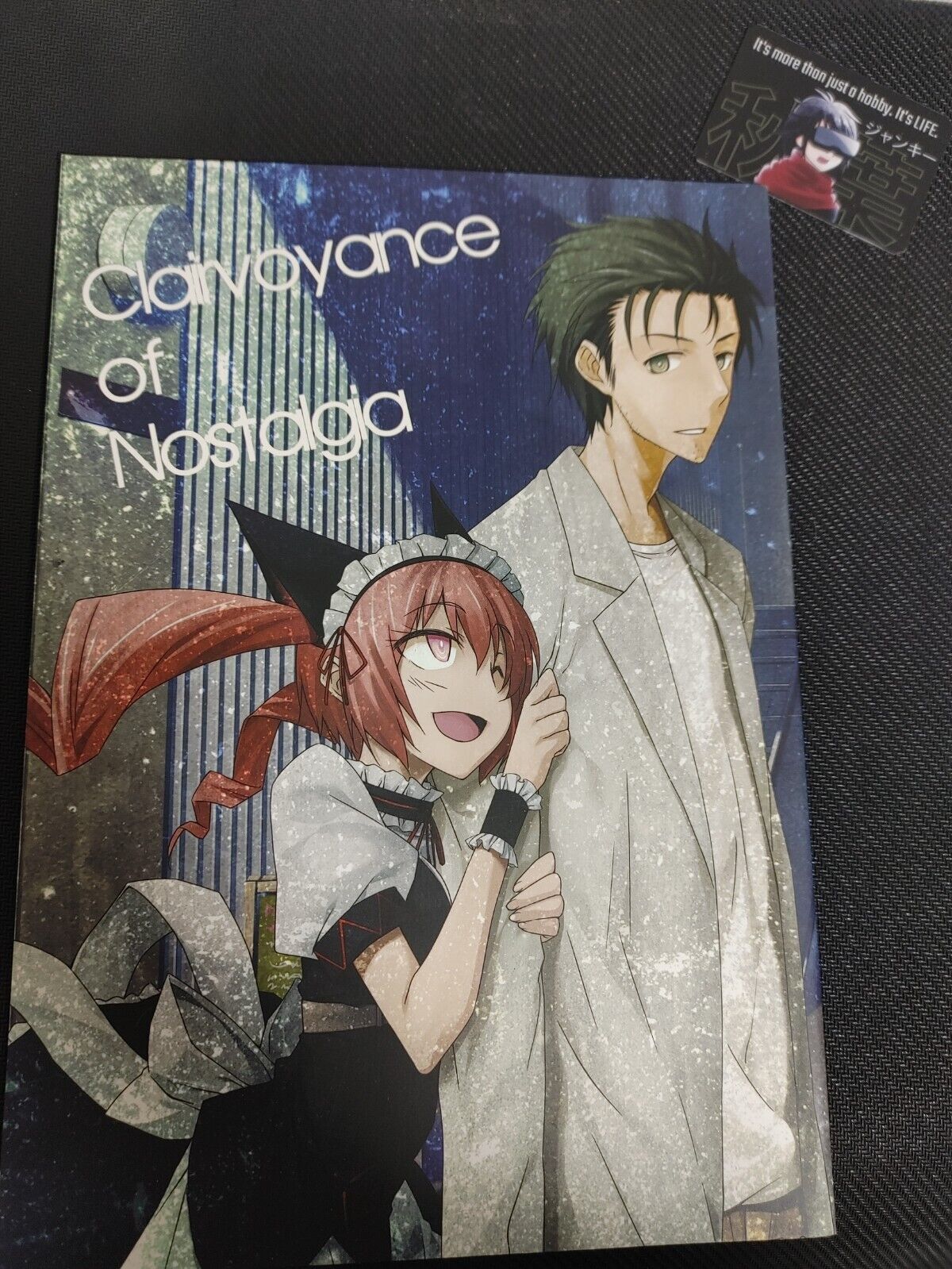 Steins Gate Anime Fan book A Doujin Art Books comic manga JAPAN