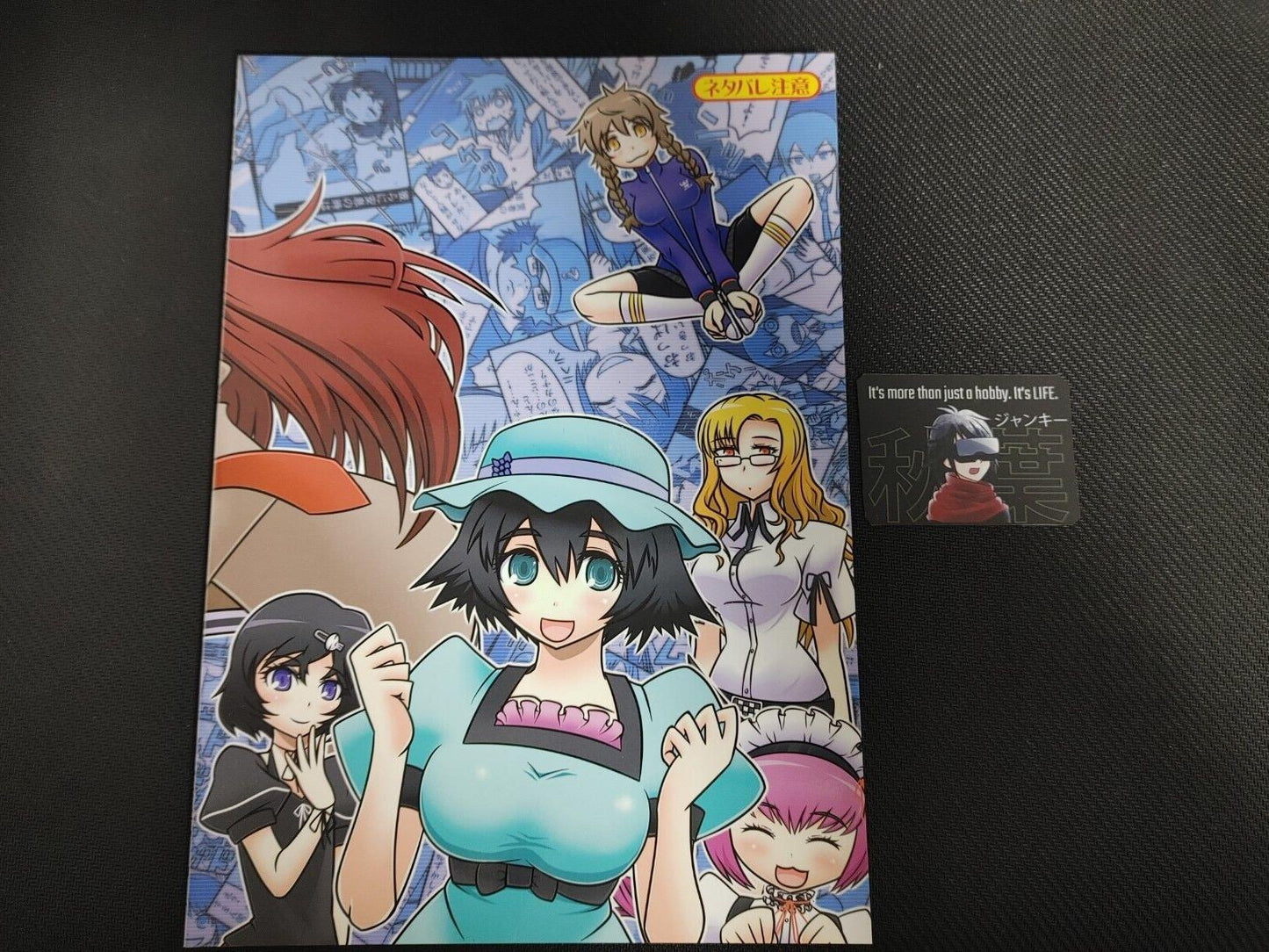 Steins Gate Anime Fan book B Doujin Art Books comic manga JAPAN