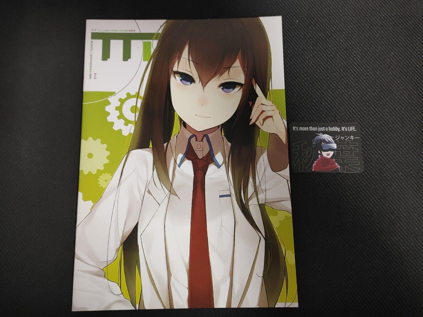 Steins Gate Anime Fan book C Doujin Art Books comic manga JAPAN