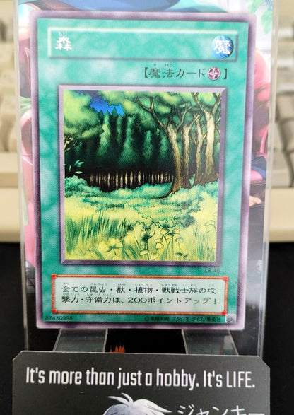 Yu-Gi-Oh Yugioh Forest LB-45 Rare Konami JAPAN Original Art