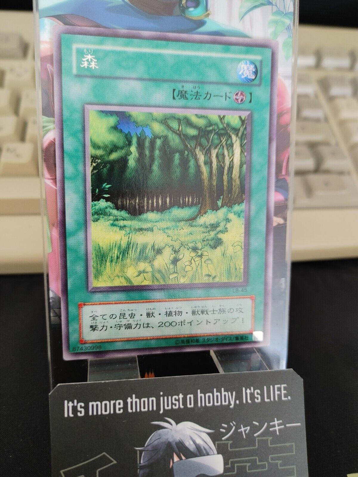 Yu-Gi-Oh Yugioh Forest LB-45 Rare Konami JAPAN Original Art