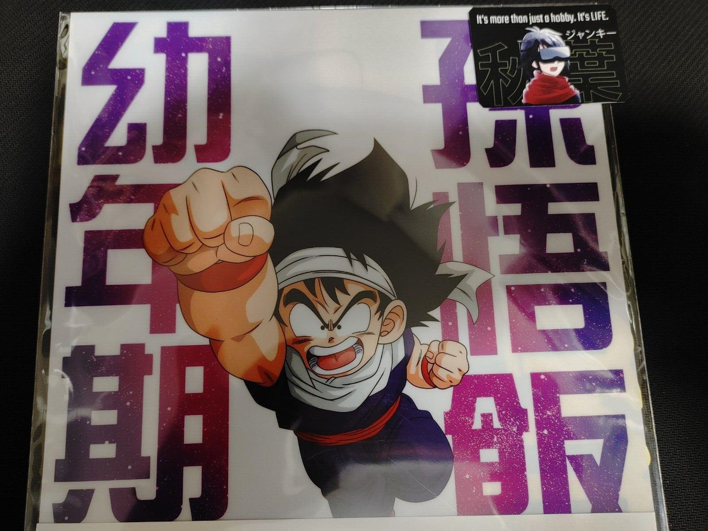 Anime Dragon ball Graphic Clear File Set Gohan Piccolo Japan Limited