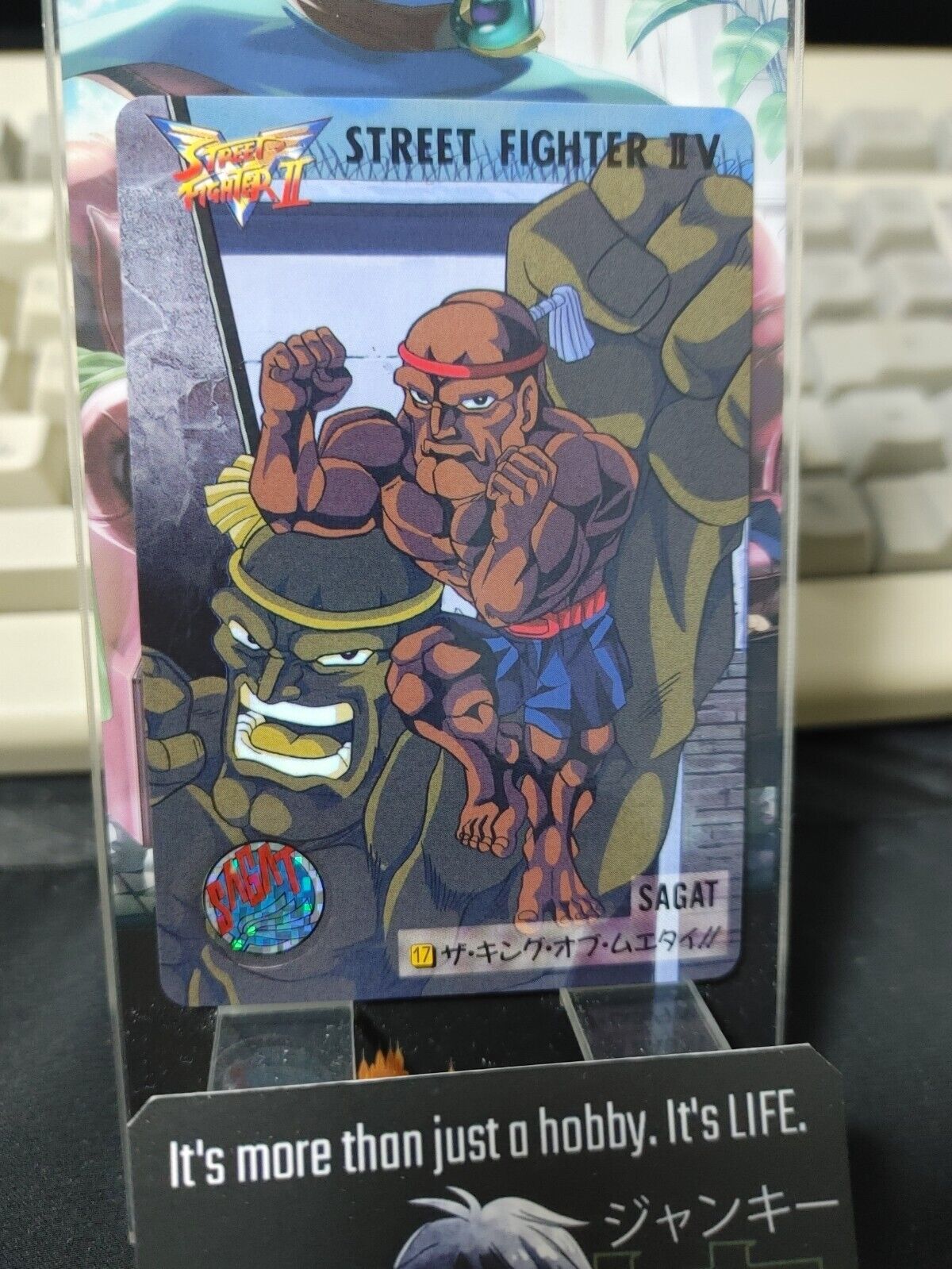 Street Fighter II V Bandai Sagat Carddass Card 17 Japanese Vintage Japan