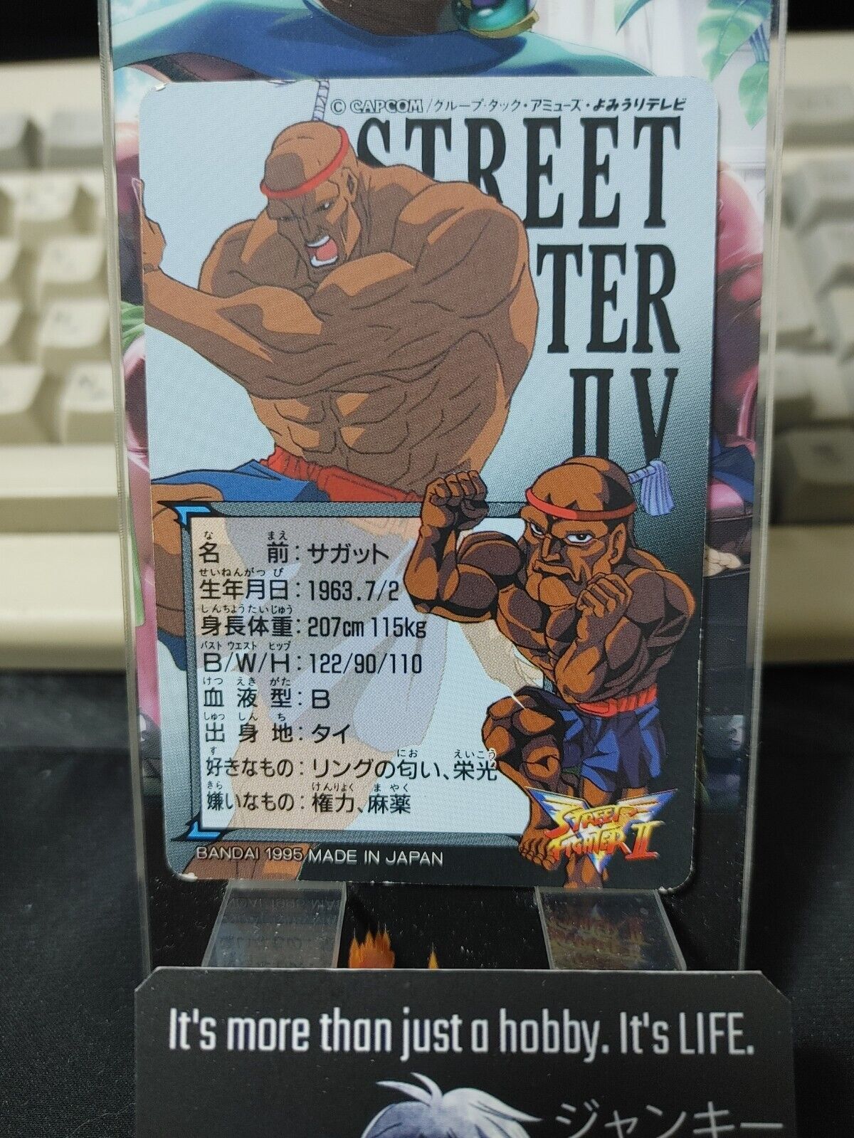 Street Fighter II V Bandai Sagat Carddass Card 17 Japanese Vintage Japan