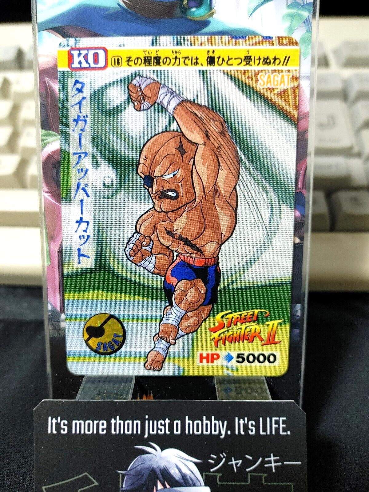 Street Fighter II Sagat Carddass Card 18 Vintage Japan