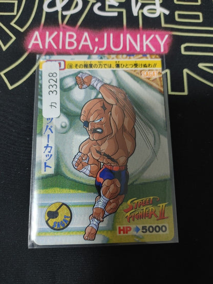 Street Fighter II Sagat Carddass Card 18 Vintage Japan