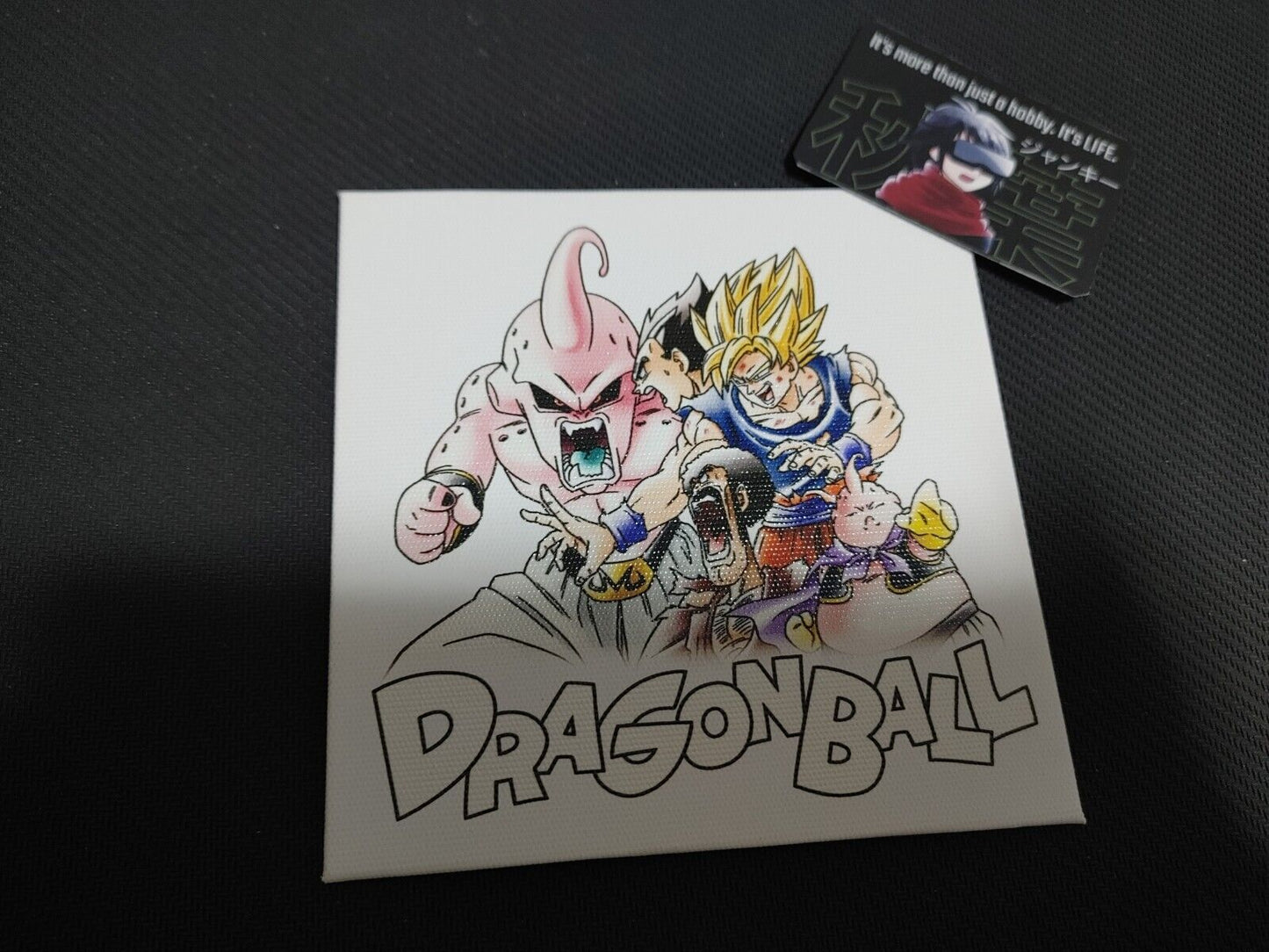 Dragon Ball Z Anime Mini Canvas Art Board Panel Shikishi Japan Limited