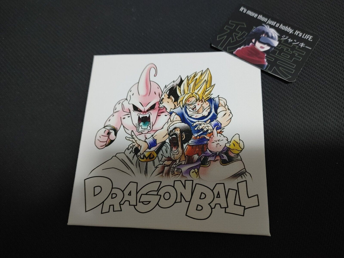 Dragon Ball Z Anime Mini Canvas Art Board Panel Shikishi Japan Limited