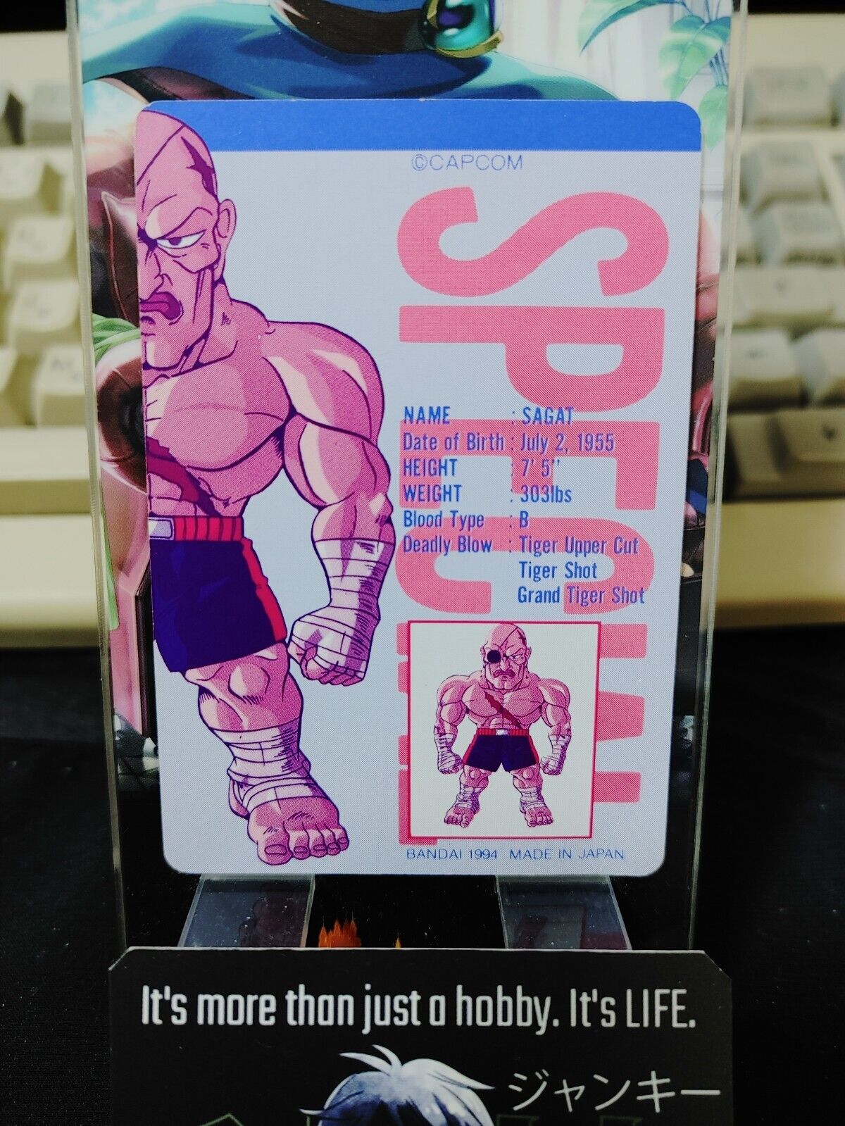 Super Street Fighter II Sagat Carddass Card 19 Vintage Japan