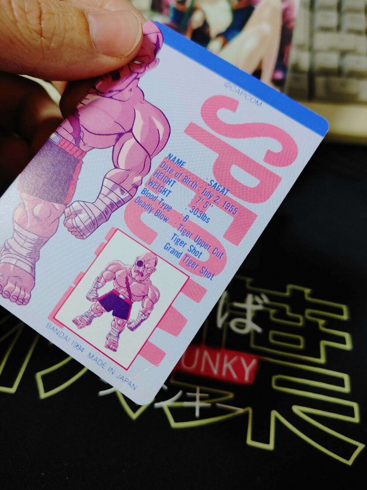 Super Street Fighter II Sagat Carddass Card 19 Vintage Japan