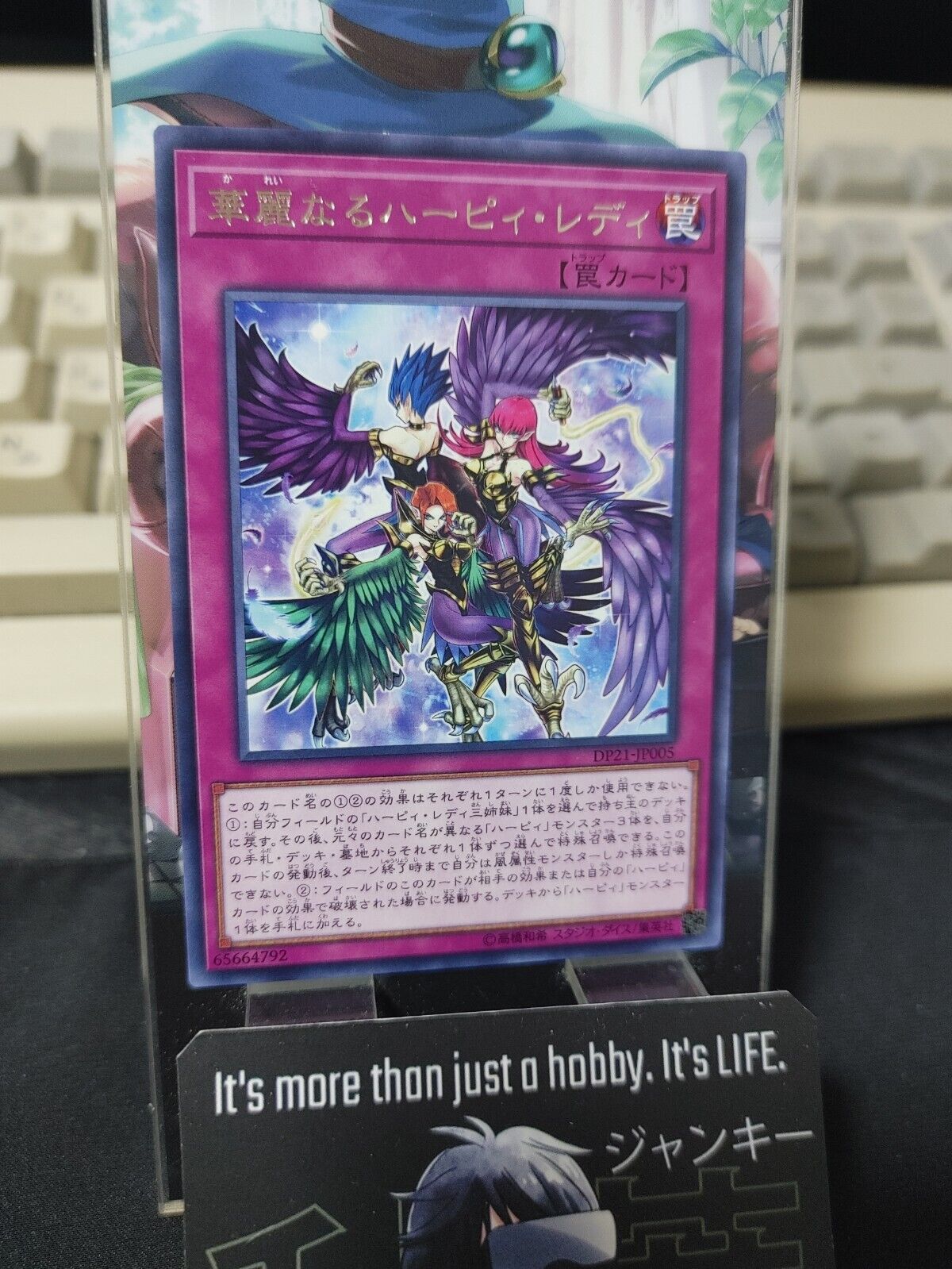 Harpie Lady Elegance Yu-Gi-Oh DP21-JP005 Rare JAPAN UNCENSORED