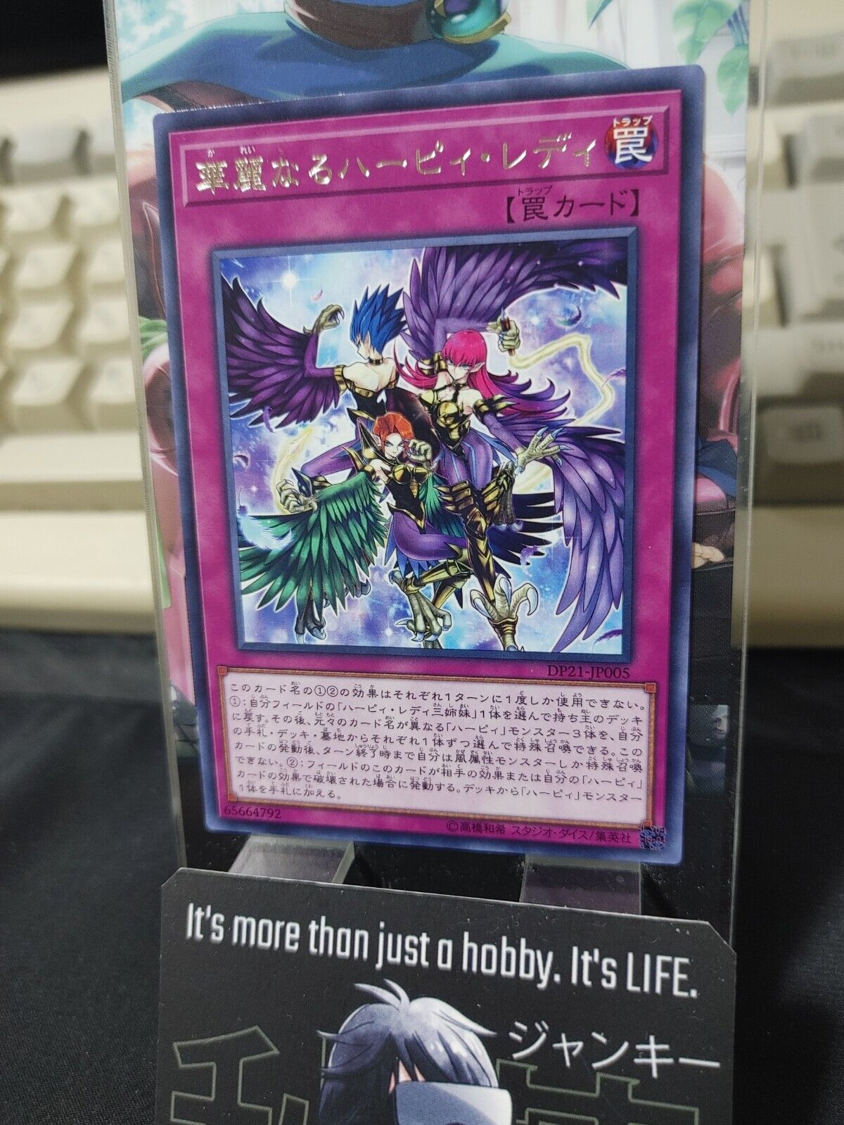 Harpie Lady Elegance Yu-Gi-Oh DP21-JP005 Rare JAPAN UNCENSORED