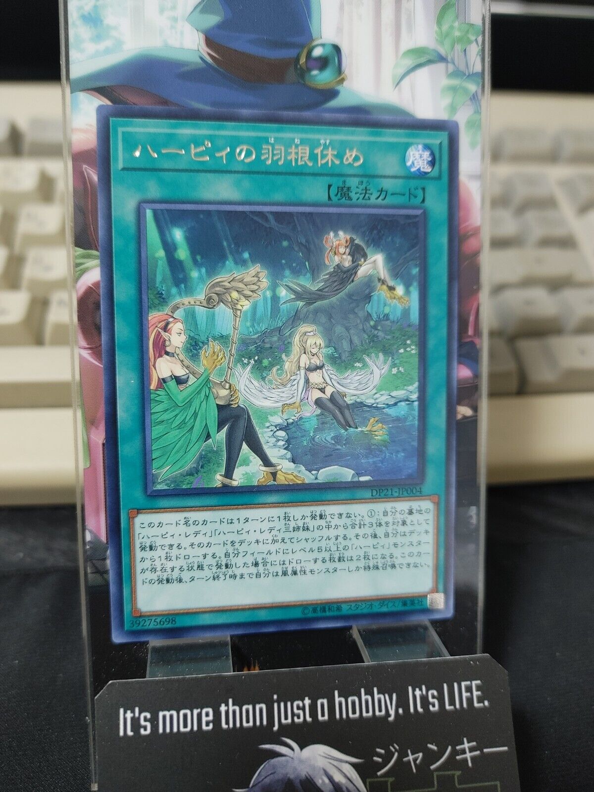 Harpie's Feather Rest Yu-Gi-Oh Yugioh DP21-JP004 Rare JAPAN UNCENSORED