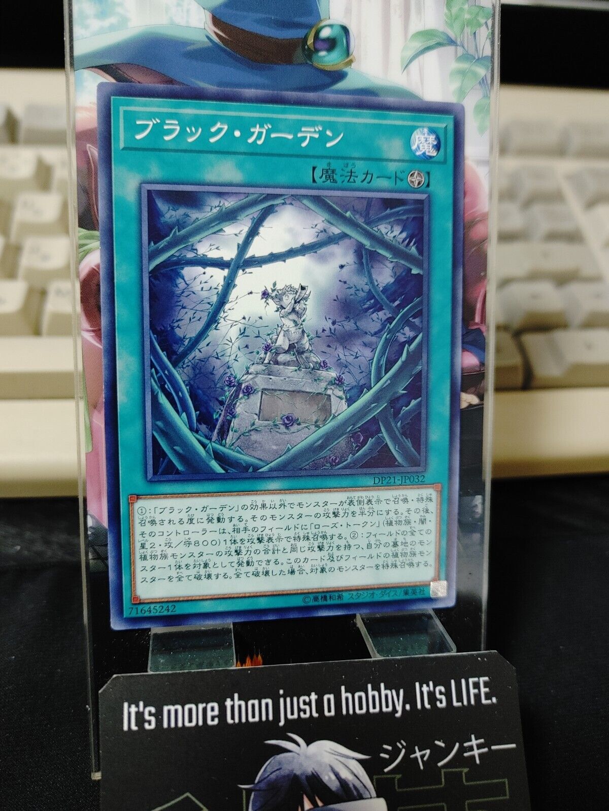 Black Garden Yu-Gi-Oh Yugioh DP21-JP032 Konami JAPAN