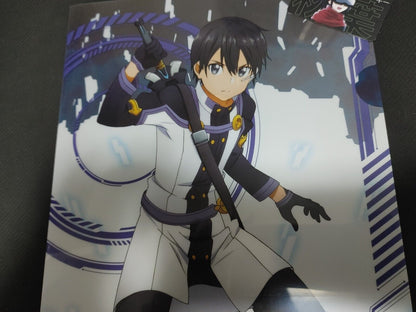 Sword Art Online Kirito Clear File C Japan Anime Limited Release