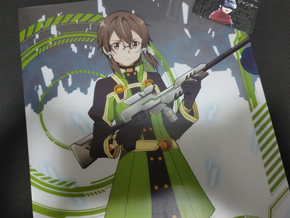 Sword Art Online Sinon Clear File A Japan Anime Limited Release