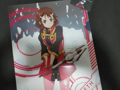 Sword Art Online Lisbeth Clear File A Japan Anime Limited Release