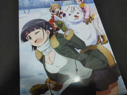 Sword Art Online Leafa Clear File C Japan Anime Limited Release