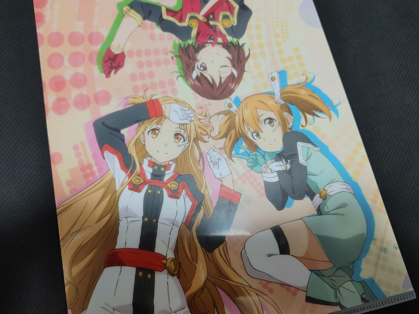 Sword Art Online Asuna Silica Clear File C Japan Anime Limited Release