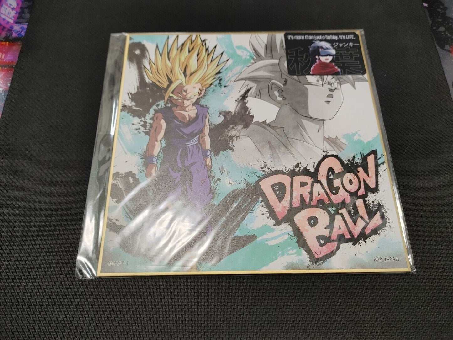 Anime Dragon Ball Gohan SS2 Shikishi Art Panel Japan Limited