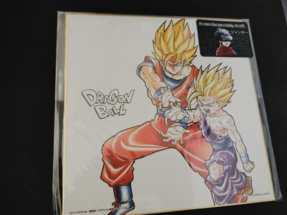 Anime Dragon Ball Goku Gohan Shikishi Art Panel Japan Limited