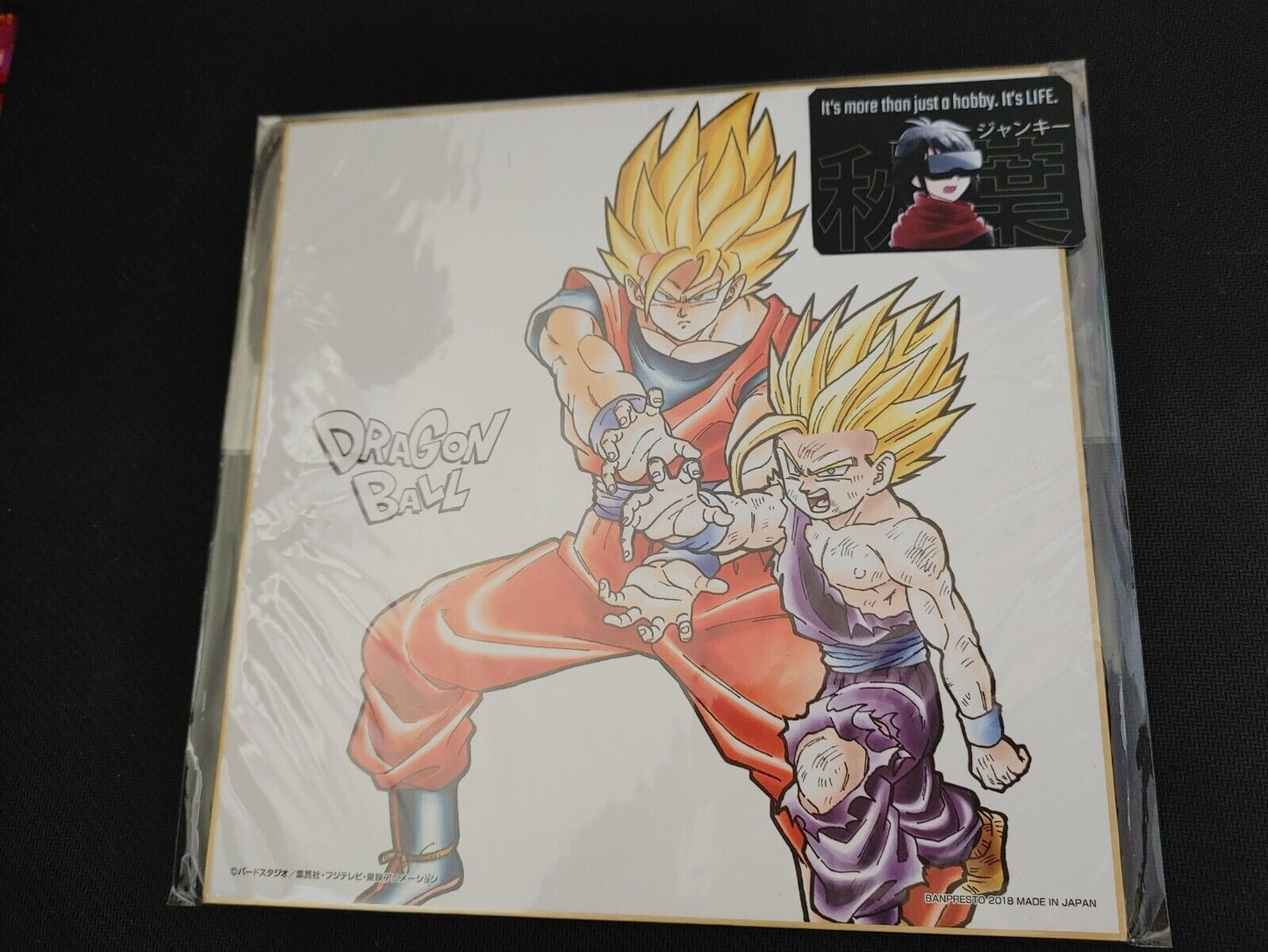 Anime Dragon Ball Goku Gohan Shikishi Art Panel Japan Limited