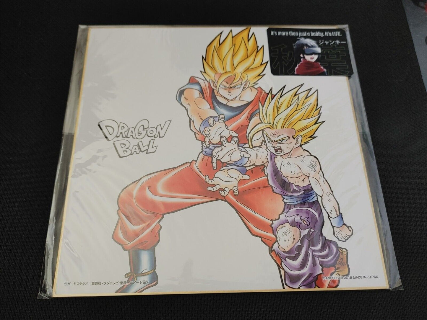 Anime Dragon Ball Goku Gohan Shikishi Art Panel Japan Limited