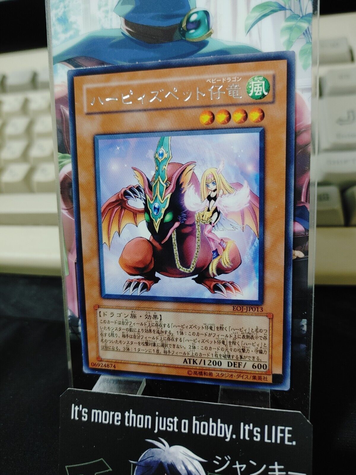 Yugioh EOJ-JP013 Harpie's Pet Baby Dragon Rare JAPAN Yu-Gi-Oh OCG UNCENSORED